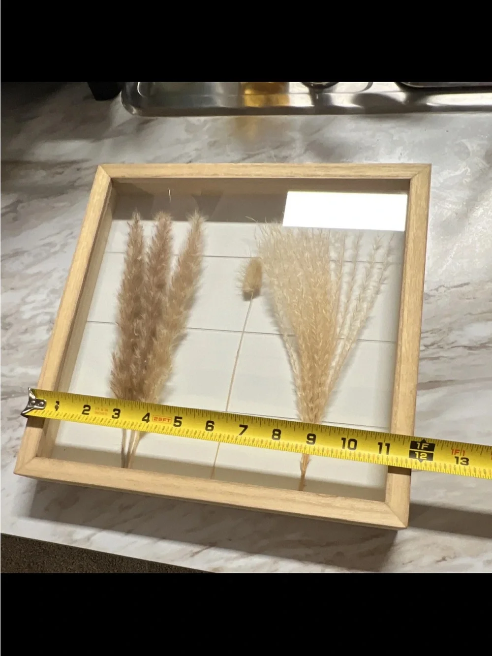 Natural Dried Pampas Grass Shadow Box Wall Art - Tan